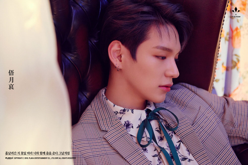 victon トレカ チャン スンシク ハンセ victon トレカ チャン スンシク