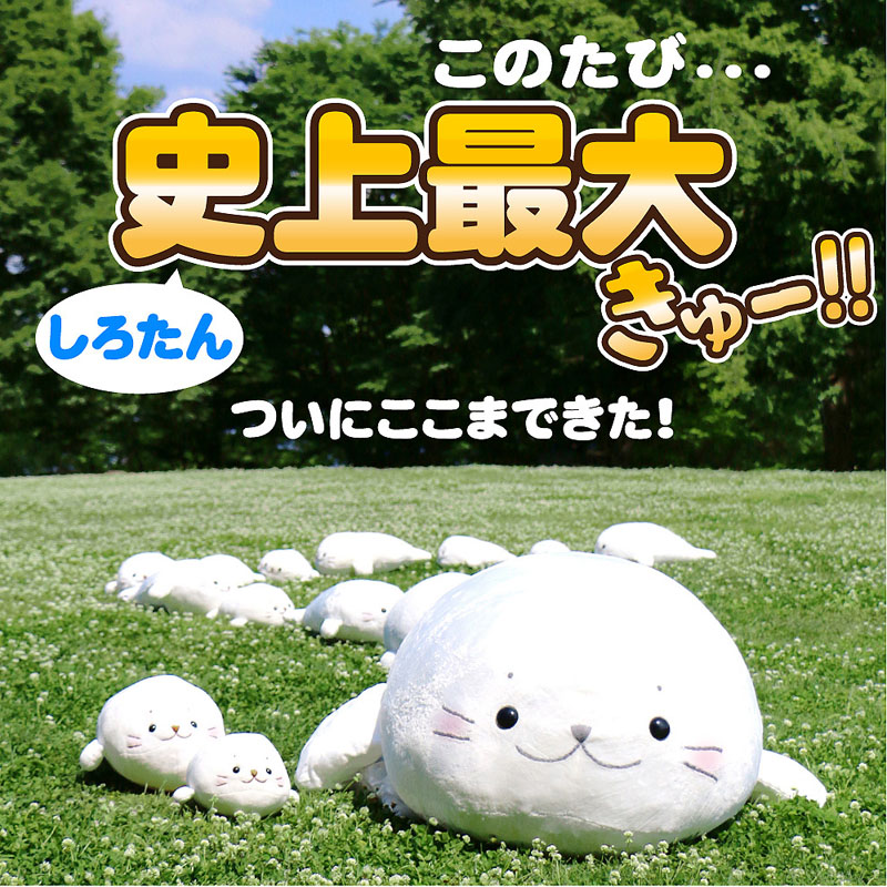 終了】20周年限定 200cmしろたんご予約受付中！ - しろたん 公式サイト