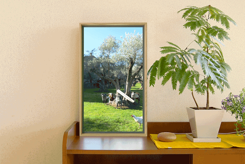 世界中の景色が楽しめる“デジタル窓”に新モデル--「Atmoph Window 2