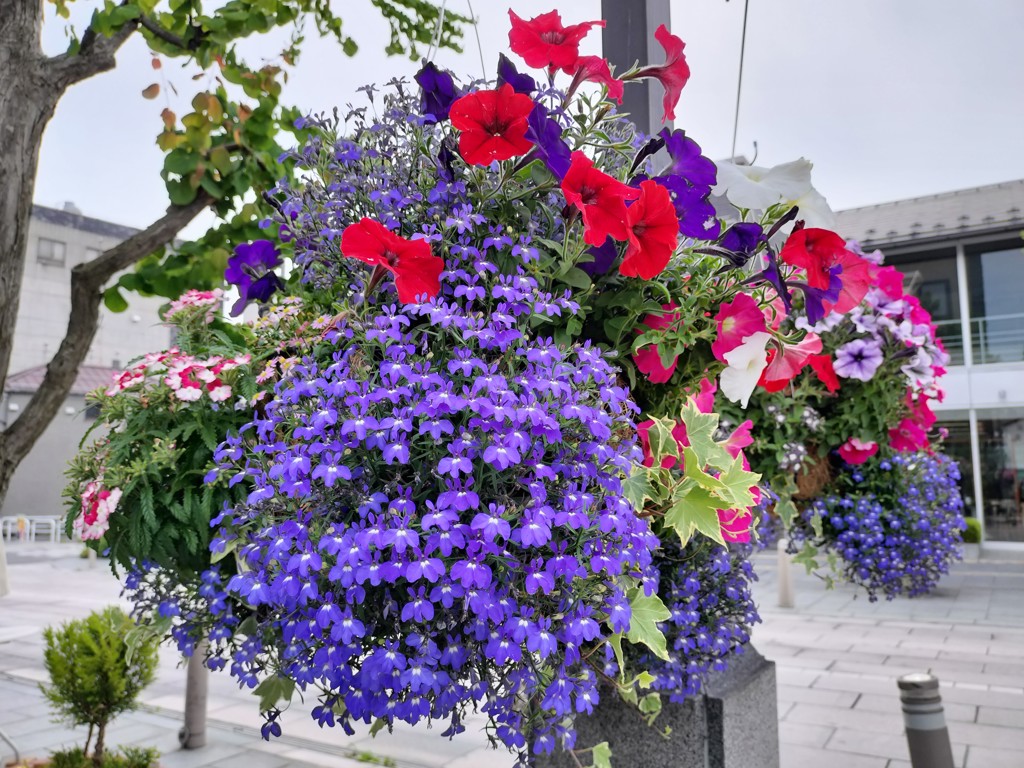 弥富農園 ねぎシリーズお試しセット: 九州エリア│DISCOVER WEST mall