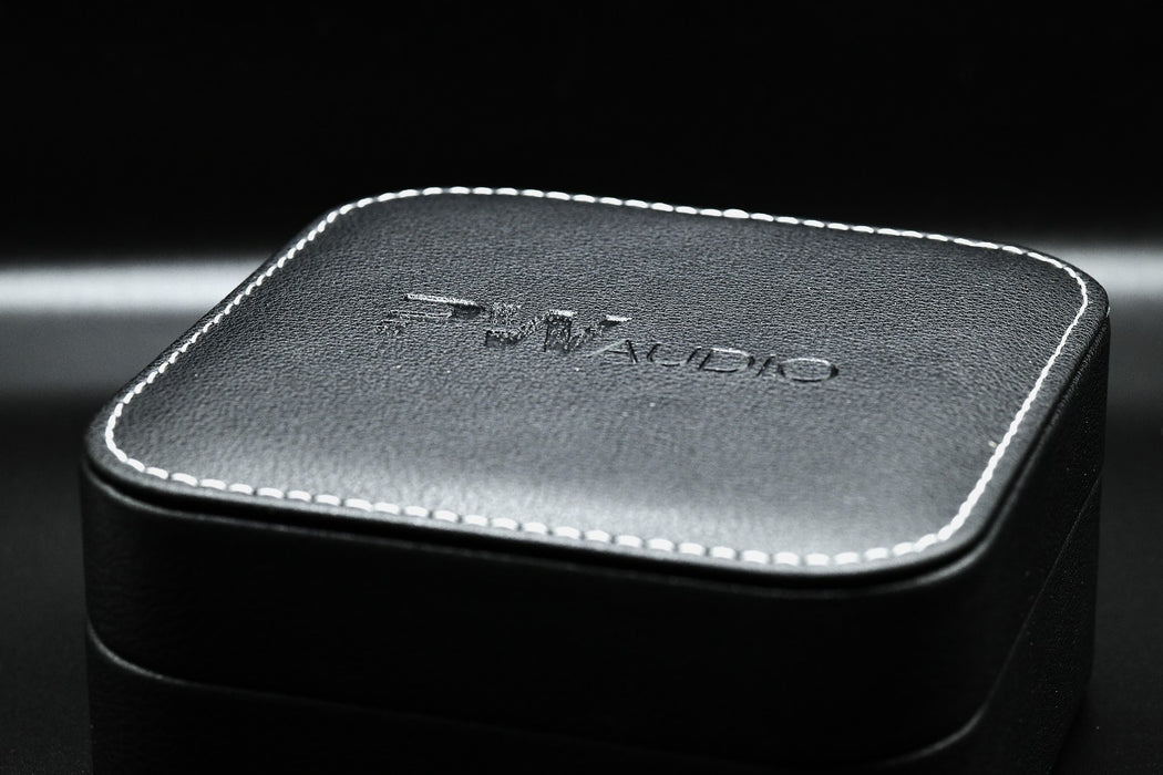 PWAudio Orpheus with Shielding (Like New) — MusicTeck