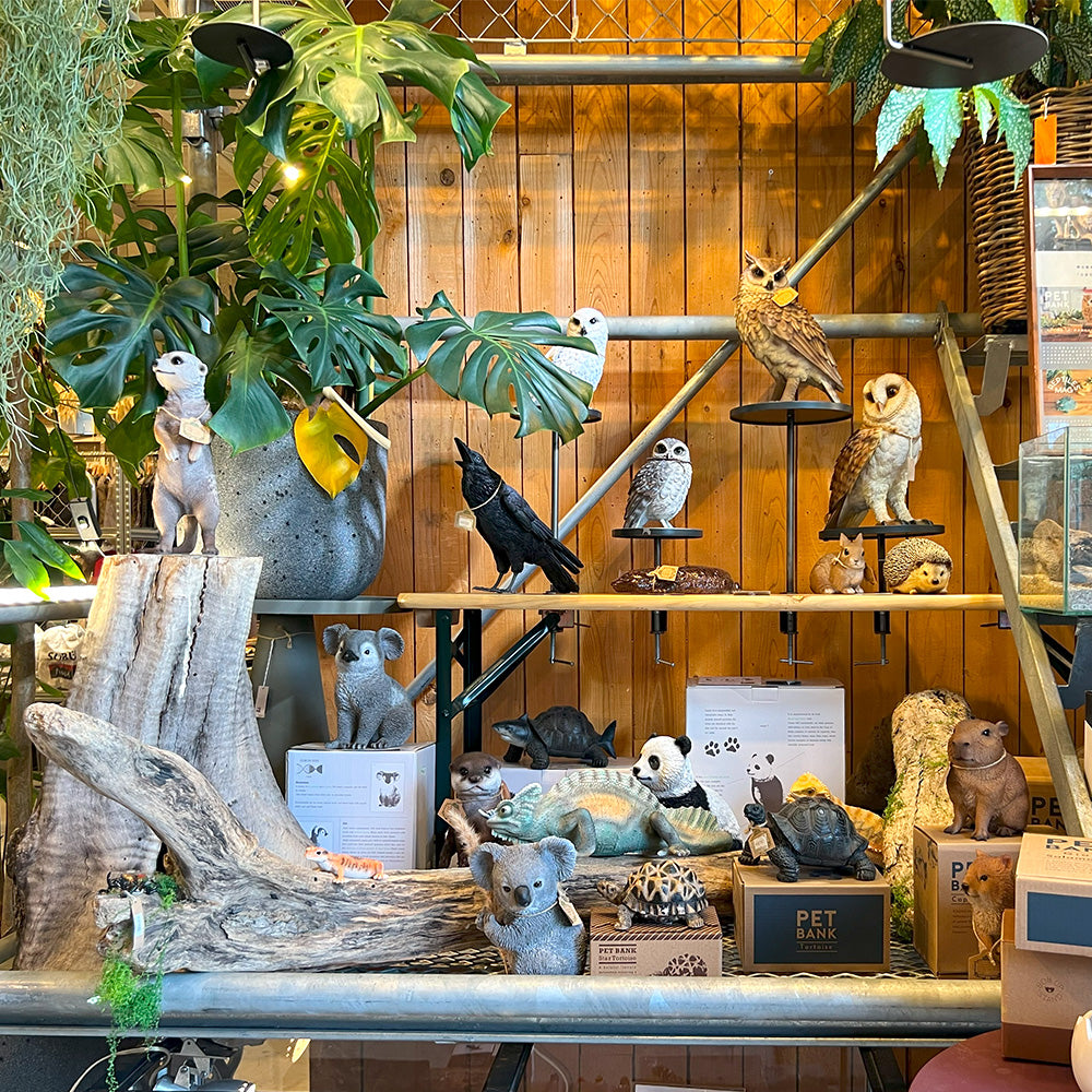 オオサンショウウオのお役立ち貯金箱 PET BANK GIANT SALAMANDER