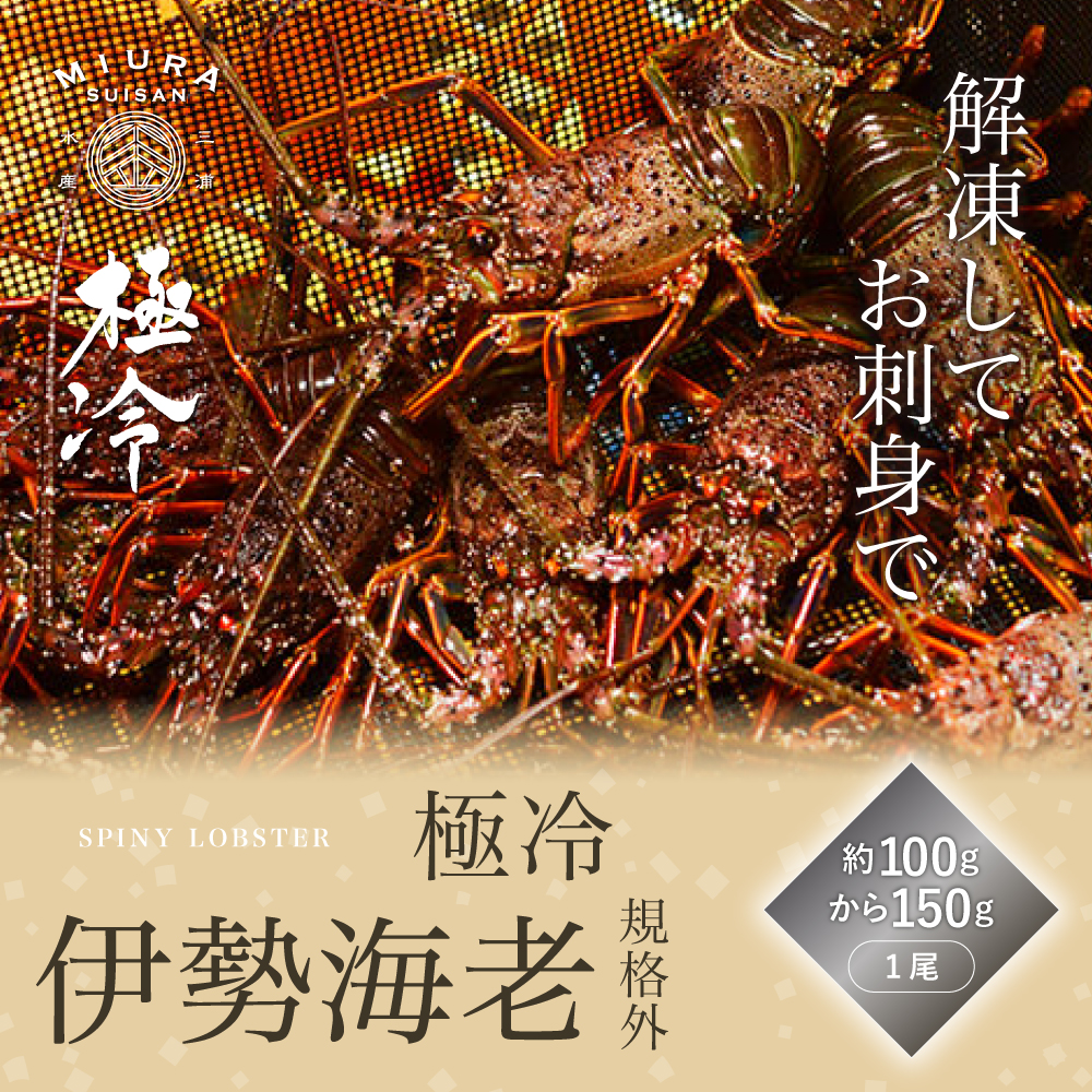 アワビ、サザエ、伊勢海老 伊東港 産地直送 ギフト 独自のアルコール