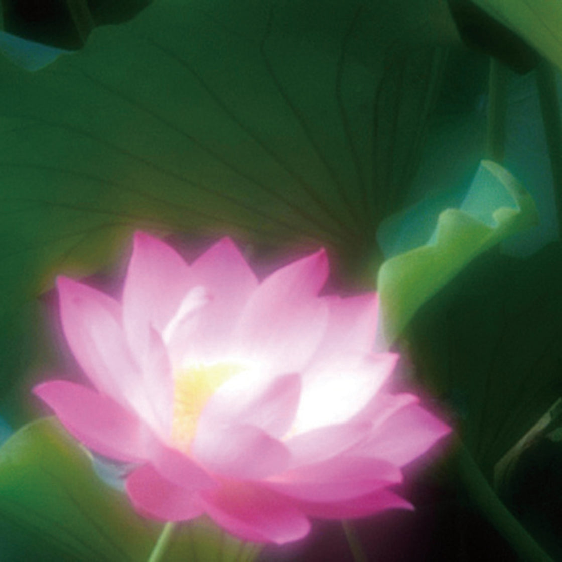 シャンプー＆トリートメントセット（アジアンフラワー） – モア