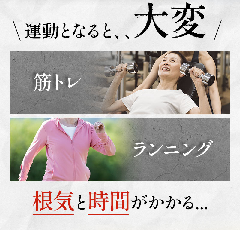 ほんとに乗ってるだけ！ ブルブルボーテ プレミアム | 日テレポシュレ