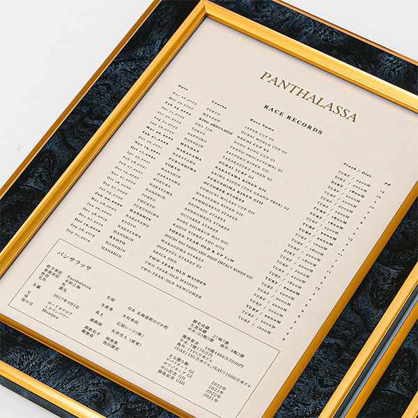 HORSE GOODS net】パンサラッサ・引退記念写真デザインパネル｜netkeiba