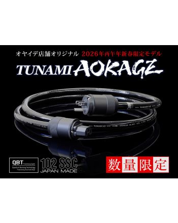 オーディオ / 映像