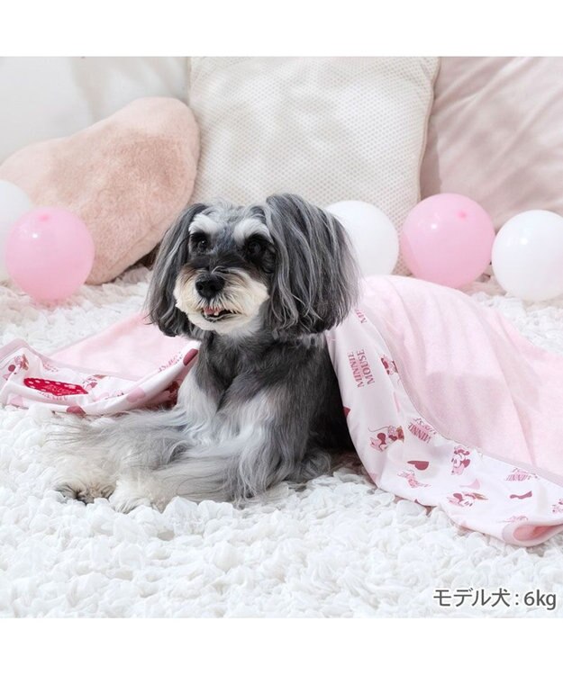 ディズニー ミニーマウス クール ブランケット 《ハート柄》 / PET