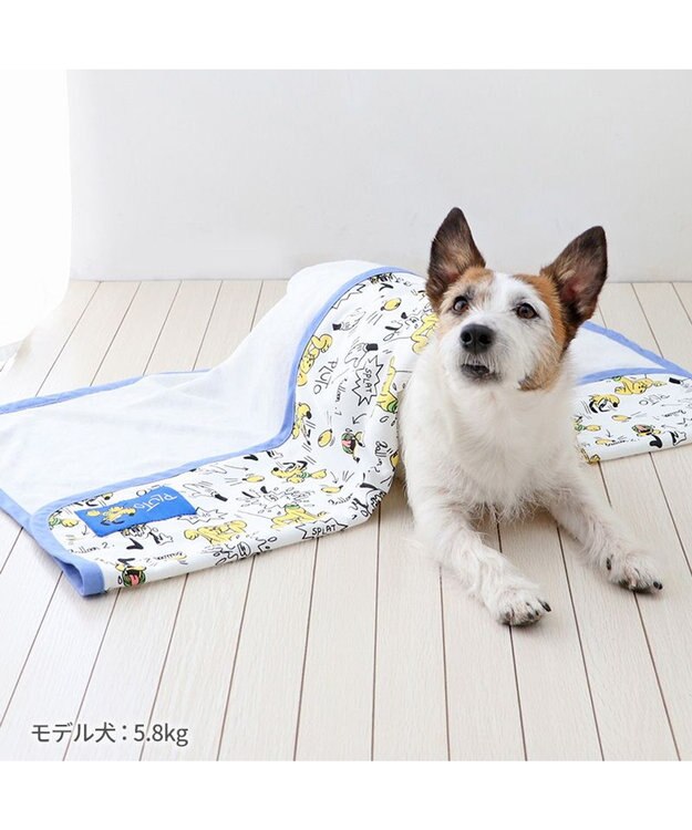 ディズニー プルート クールケット 小型犬 / PET PARADISE | 【通販