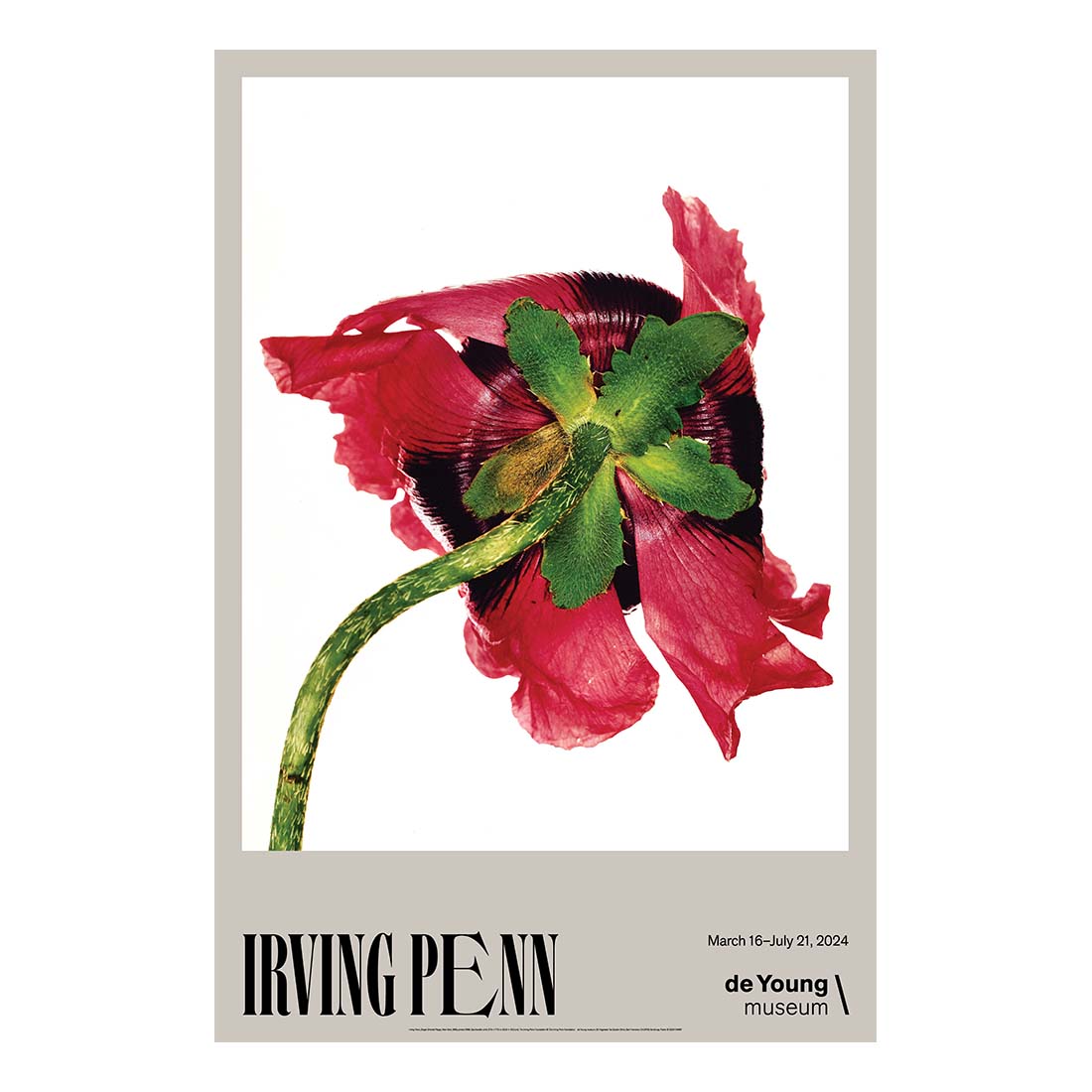 Irving Penn Single Oriental Poppy Poster - de Young & Legion of