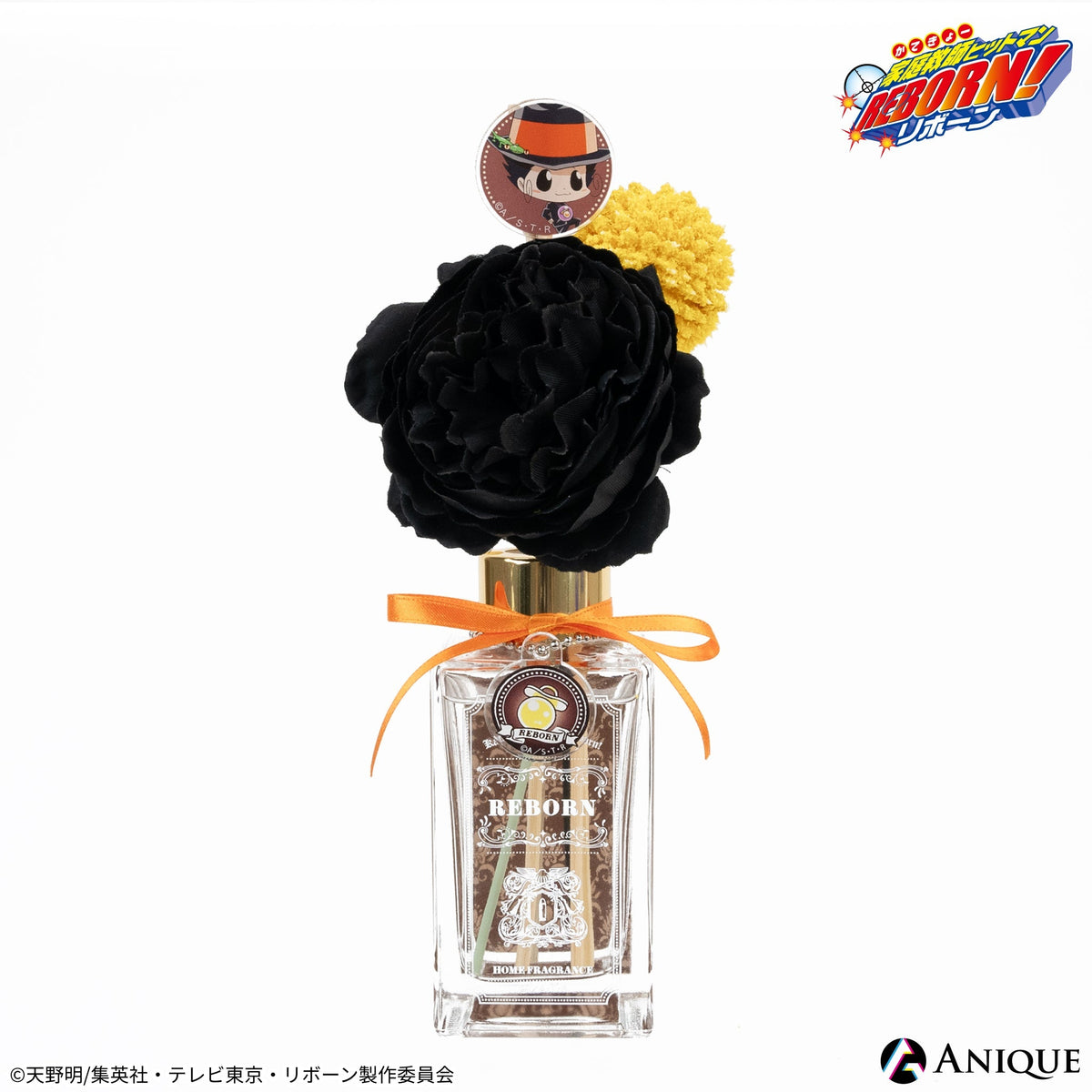 REBORN リボーン .恋のナビゲイター 8センチ8cmシングル邦楽cd REBORN