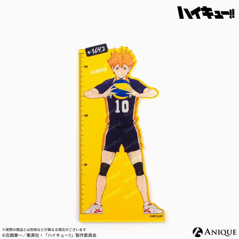 全種 13枚 特典 アニメイト ハイキュー ショーセツバン ビジュアルボード