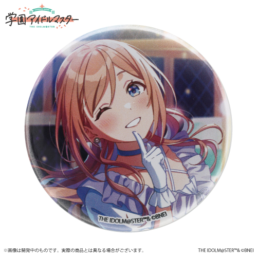 姫崎莉波 初心公演 缶バッジ 25個セット 姫崎莉波 初心公演 缶バッジ