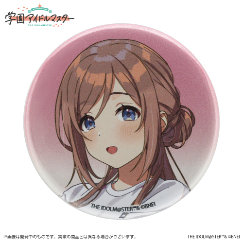 姫崎莉波 初心公演 缶バッジ 25個セット 姫崎莉波 公式トレーディング