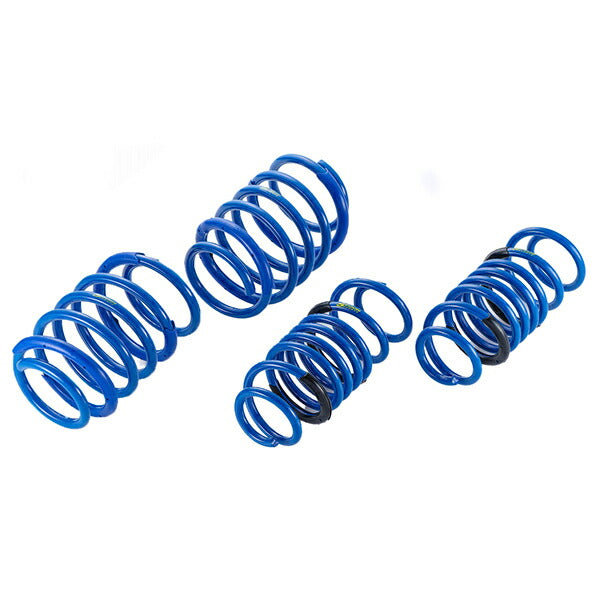 直巻スプリング 2本セット ラルグス RSスプリング φ62 12k 130mm