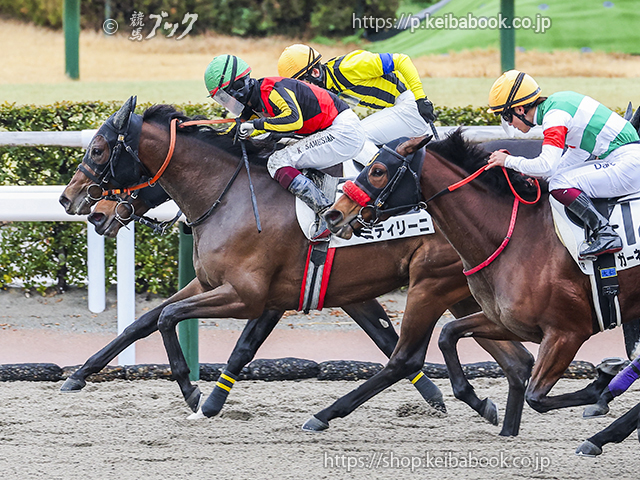 競馬ブックネットSHOP / カラープリント(アルミ枠付き)