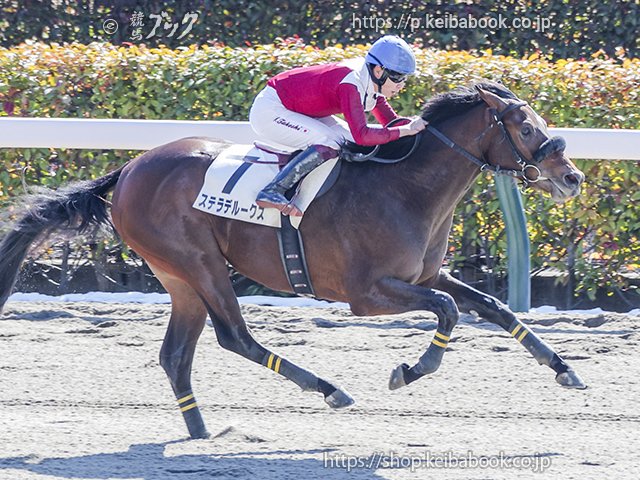 競馬ブックネットSHOP / カラーパネル