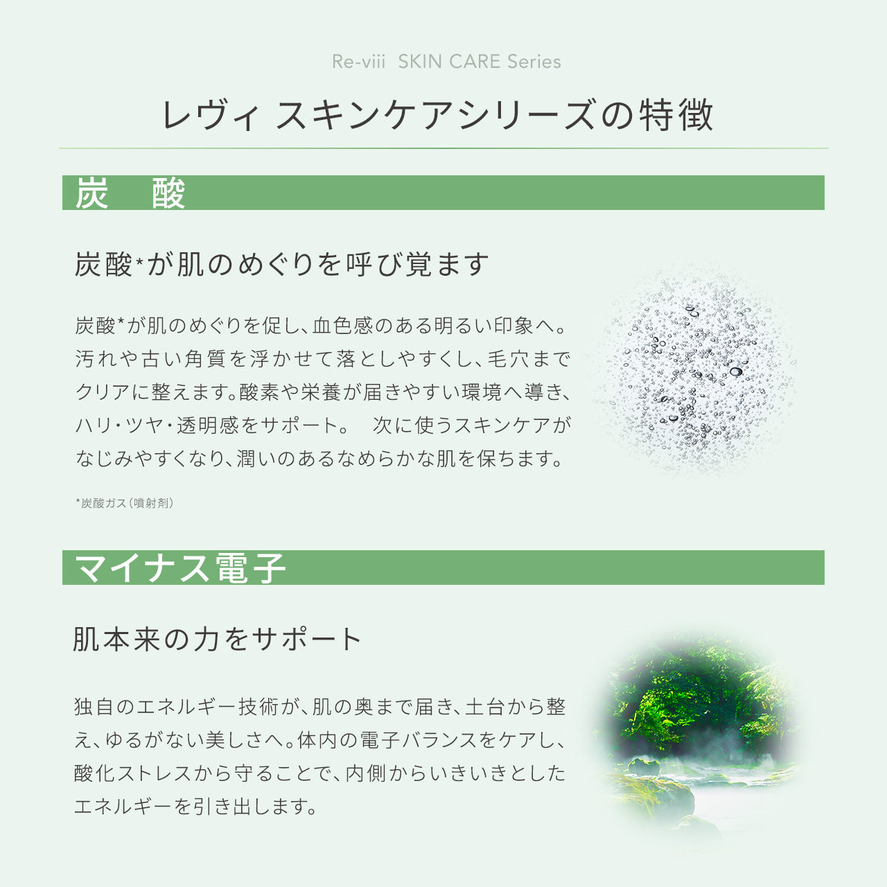 新作】ルーヴルドー レヴィ 洗顔フォーム (炭酸泡) – LOUVREDO直営