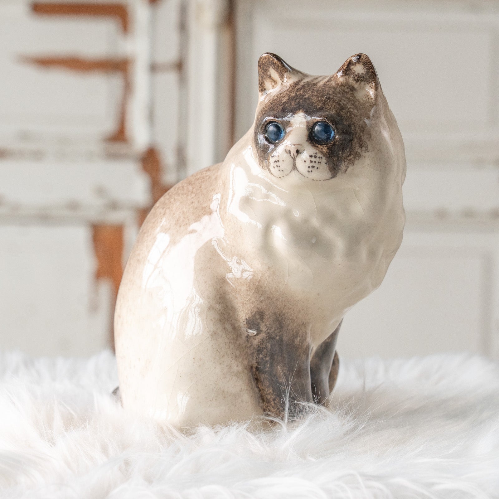 ウィンスタンレイキャット/Winstanley Cat – THE GLOBE オンラインショップ