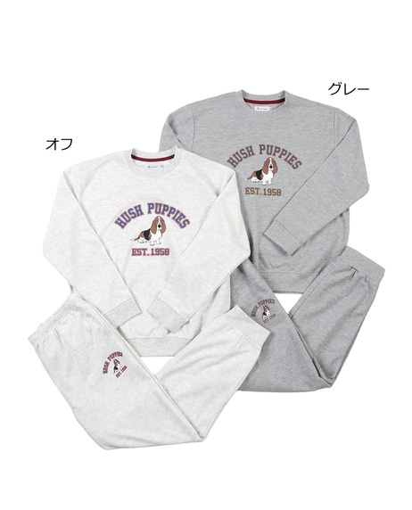 ダンボールスウェット上下セット - ハッシュパピーアパレル公式通販サイト