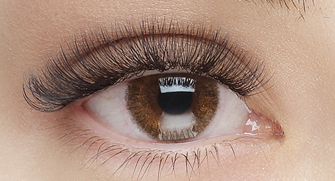 プラチナセーブル®｜まつ毛エクステ商材のMiss eye d'or | HISTORIC