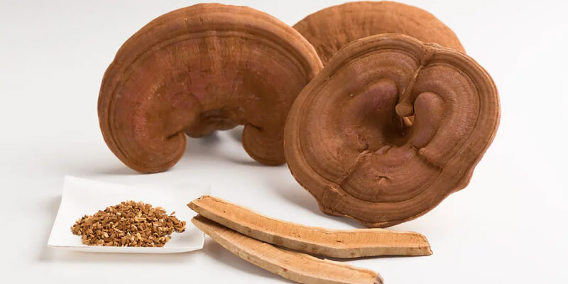 国産】霊芝（子実体）レイシ 100g - 本草閣 養生庵