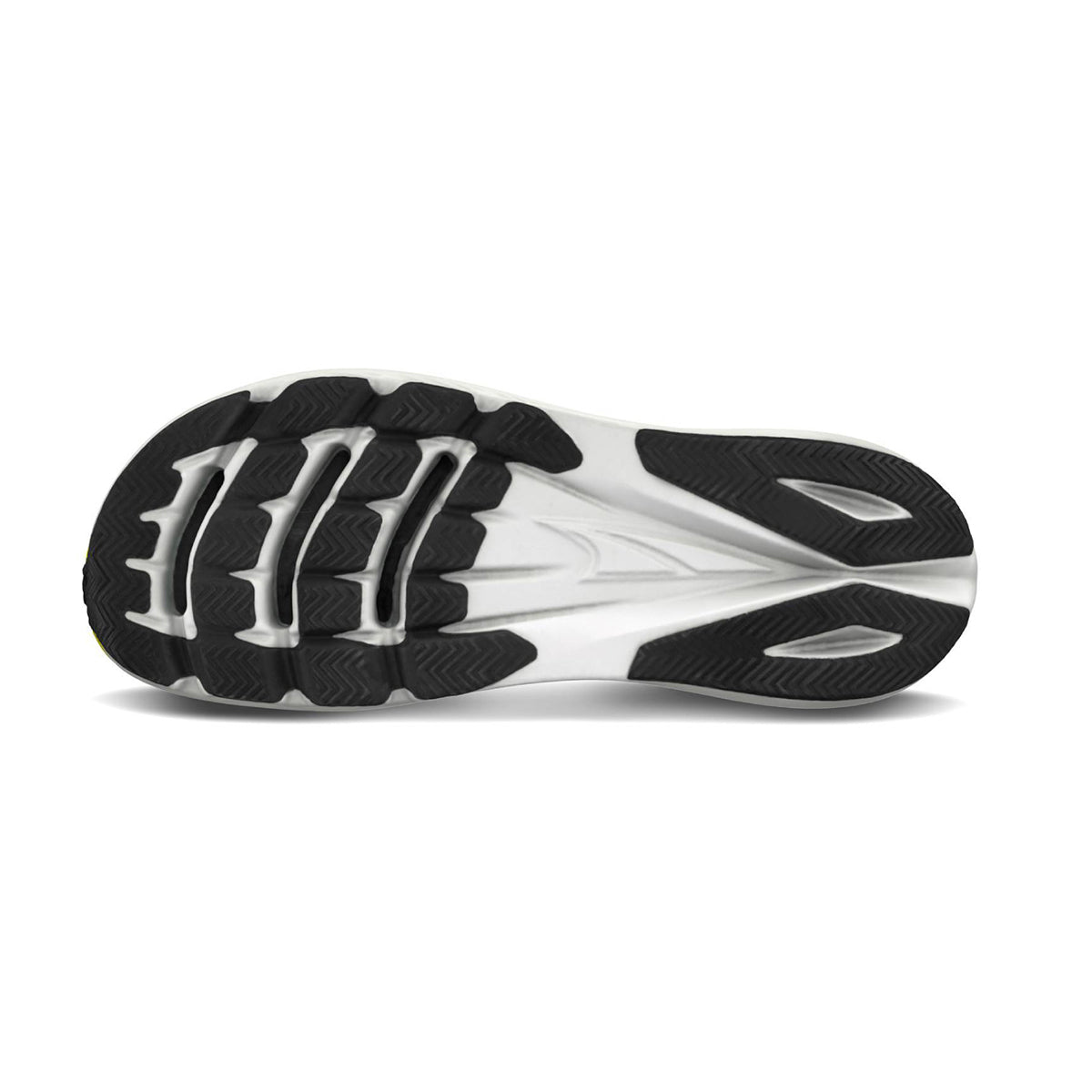 VANISH CARBON 2 Men's ※サイズ交換片道無料