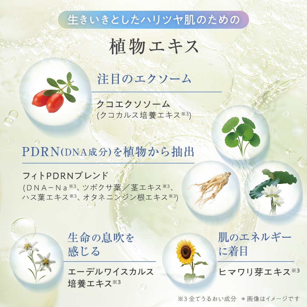 TBC エッセンスボール: スペシャルケア｜TBCオンラインショップ