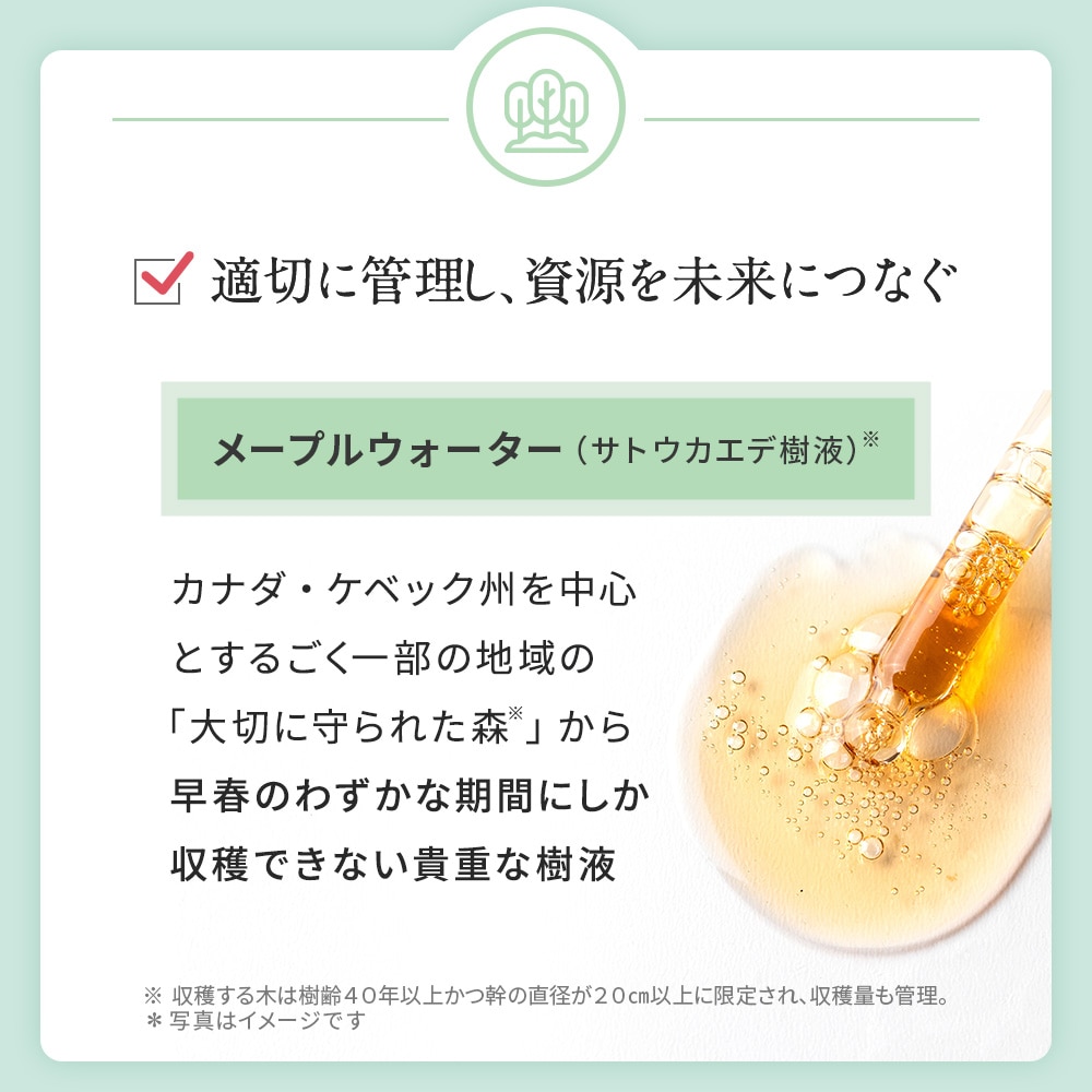 販売終了】TBC フィトクリアC N_6セット入: 期間限定｜TBCオンライン