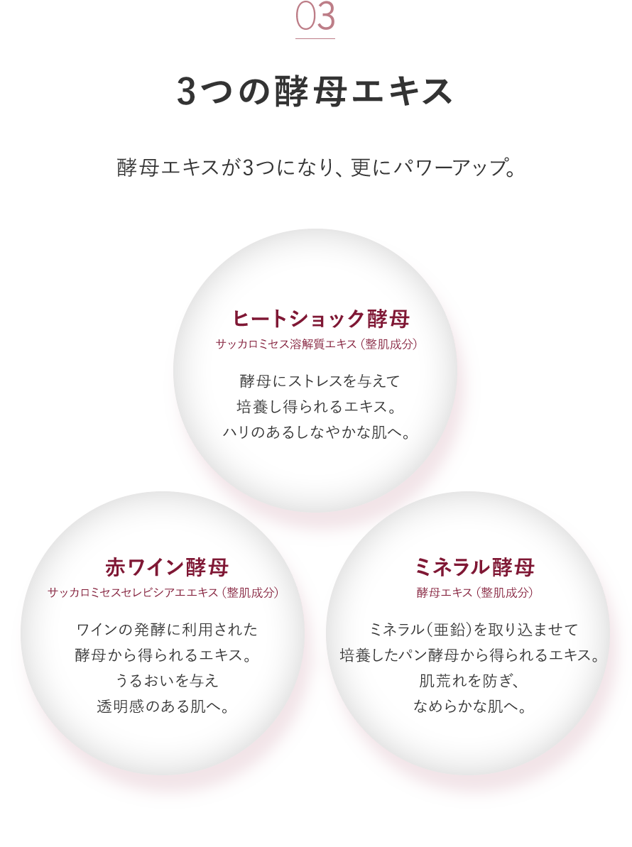 濃厚な質感の保湿クリーム】トゥアス ボー モイスチュアクリーム｜TBC