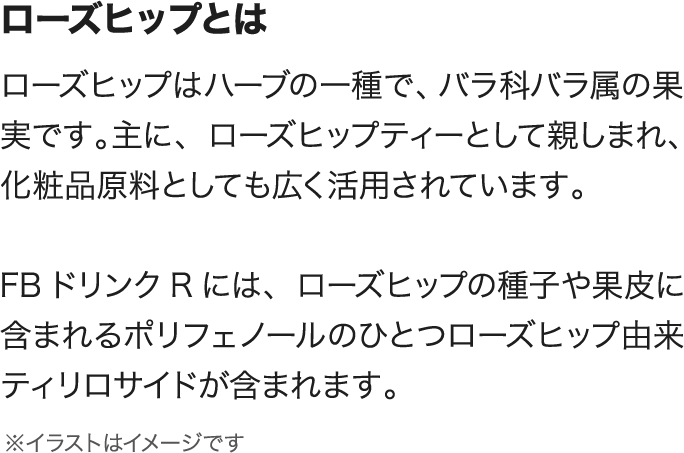 FBドリンクR_50mL×10本入(1箱): TBCサプリメント｜TBCオンラインショップ