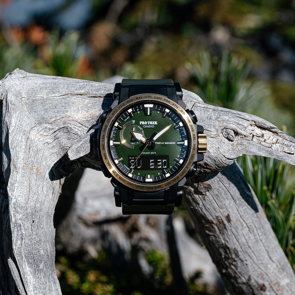 プロトレック 30周年記念モデル 木漏れ日 PRW-61ANS-3JR メンズ 電波