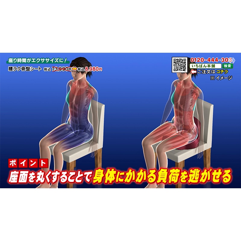 整体師が本気で考えた 腰ラク骨盤シート(グレー): 美容・健康