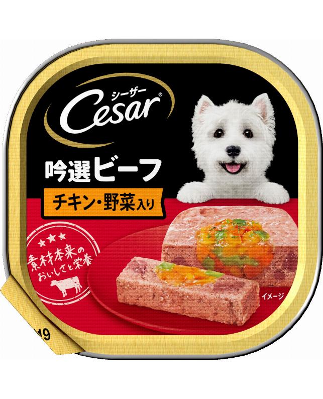 シーザー 吟選ビーフ チキン・野菜入り 100g（4902397790129）｜犬