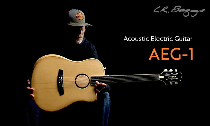 楽天市場】【即納可能＆送料無料！】Shin's Music PLATINUM DRIVE PLD