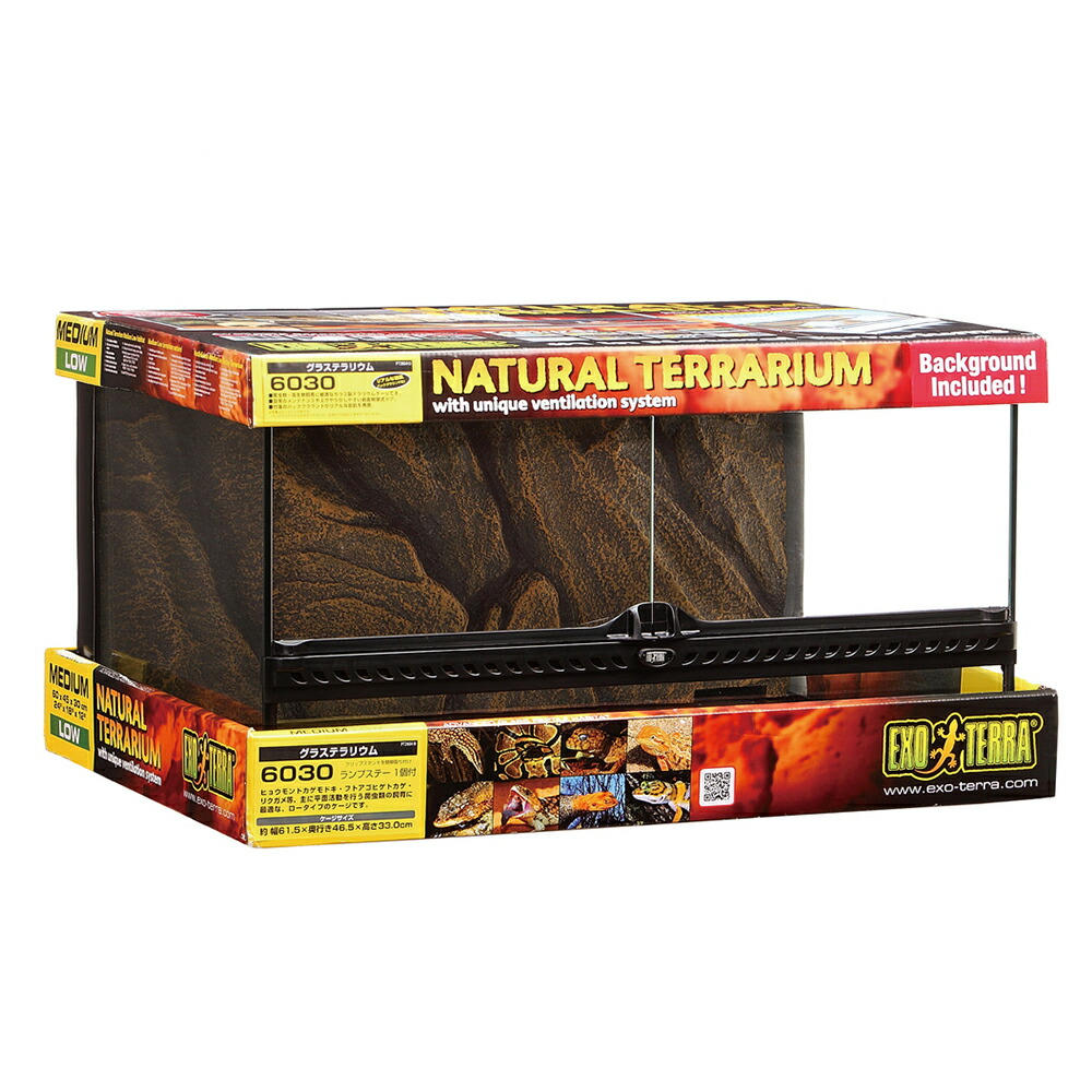 楽天市場】（大型）爬虫類ケージ GEX エキゾテラ グラステラリウム