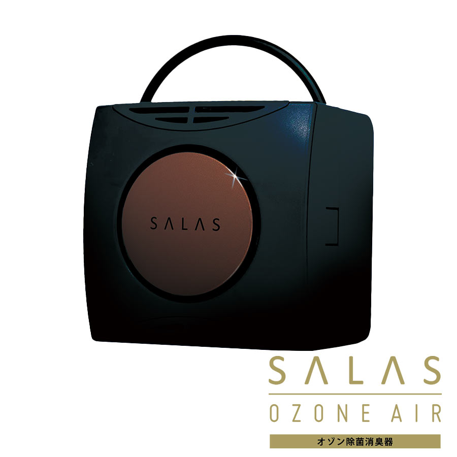 大特価！！】ウイルス除去 マイナスイオン発生機オーリラGSD-212R 楽天