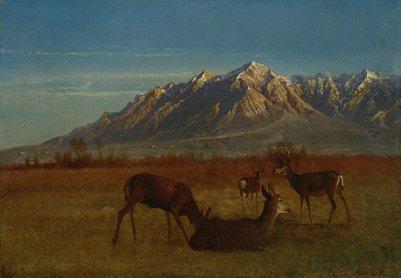 楽天市場】【油絵 直筆仕上げ】ベラスケス 鹿の頭部 アートフレーム