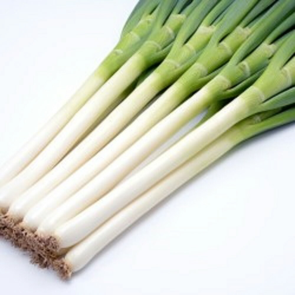 楽天市場】みかど協和 ネギ 葱 ねぎ 夏柱 ペレット6000粒 : 種苗・園芸