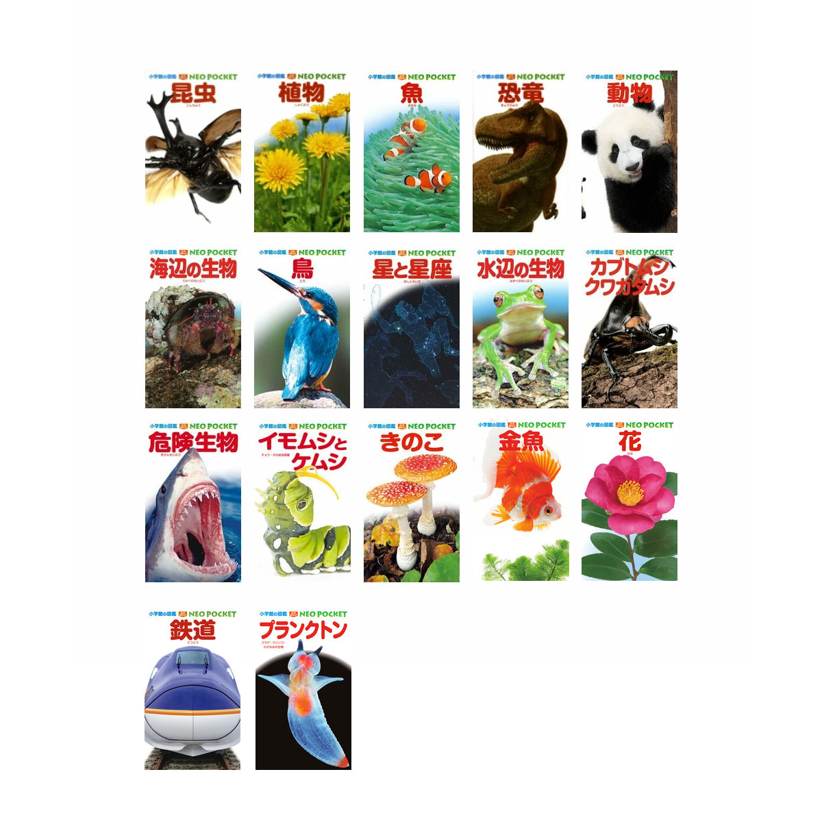 楽天市場】小学館の図鑑 NEO POCKET -ネオぽけっと- 既15巻 '24年度