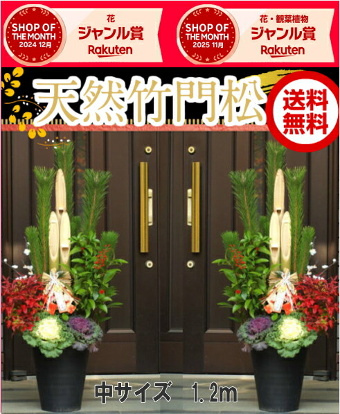楽天市場】【12/29〜31の間にお届けです】迎春用門松 120-N 120cm