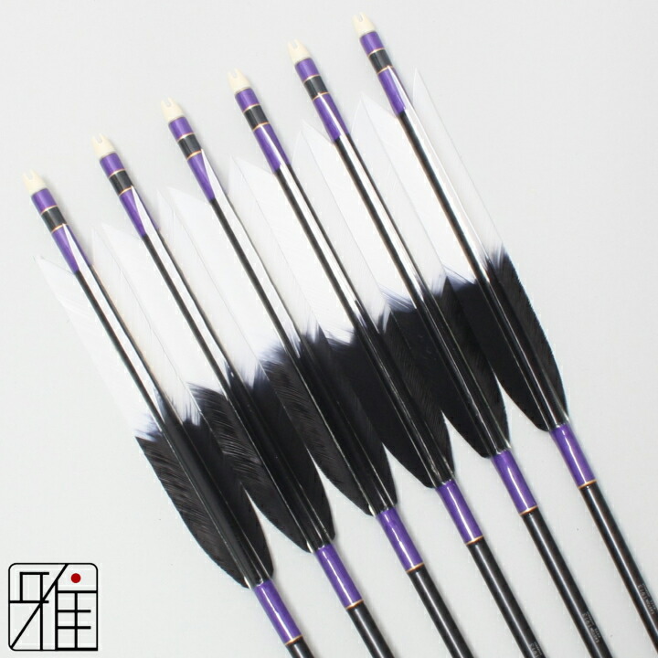 楽天市場】弓道 矢 ジュラルミン矢 6本組ターキー元黒染羽 1913