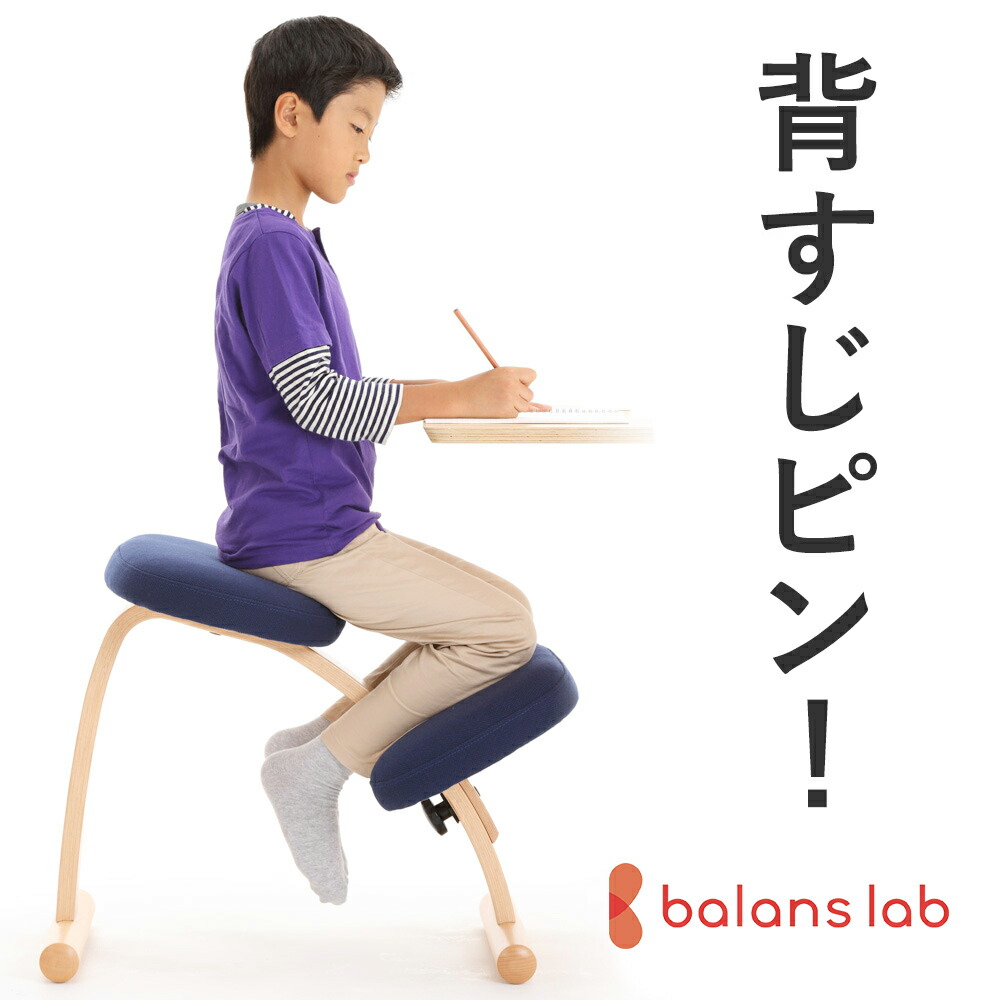 楽天市場】バランスチェア バランスイージー カバー バランスラボ