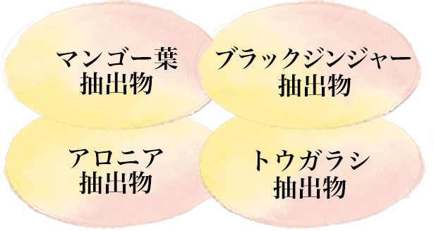 QUICK BURNER+ [2023] | サプリメント | ライザップ公式通販 RIZAP