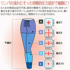 ロマンスシェレーヌ スリムフォース スパッツ | ローズメゾン ウェブ