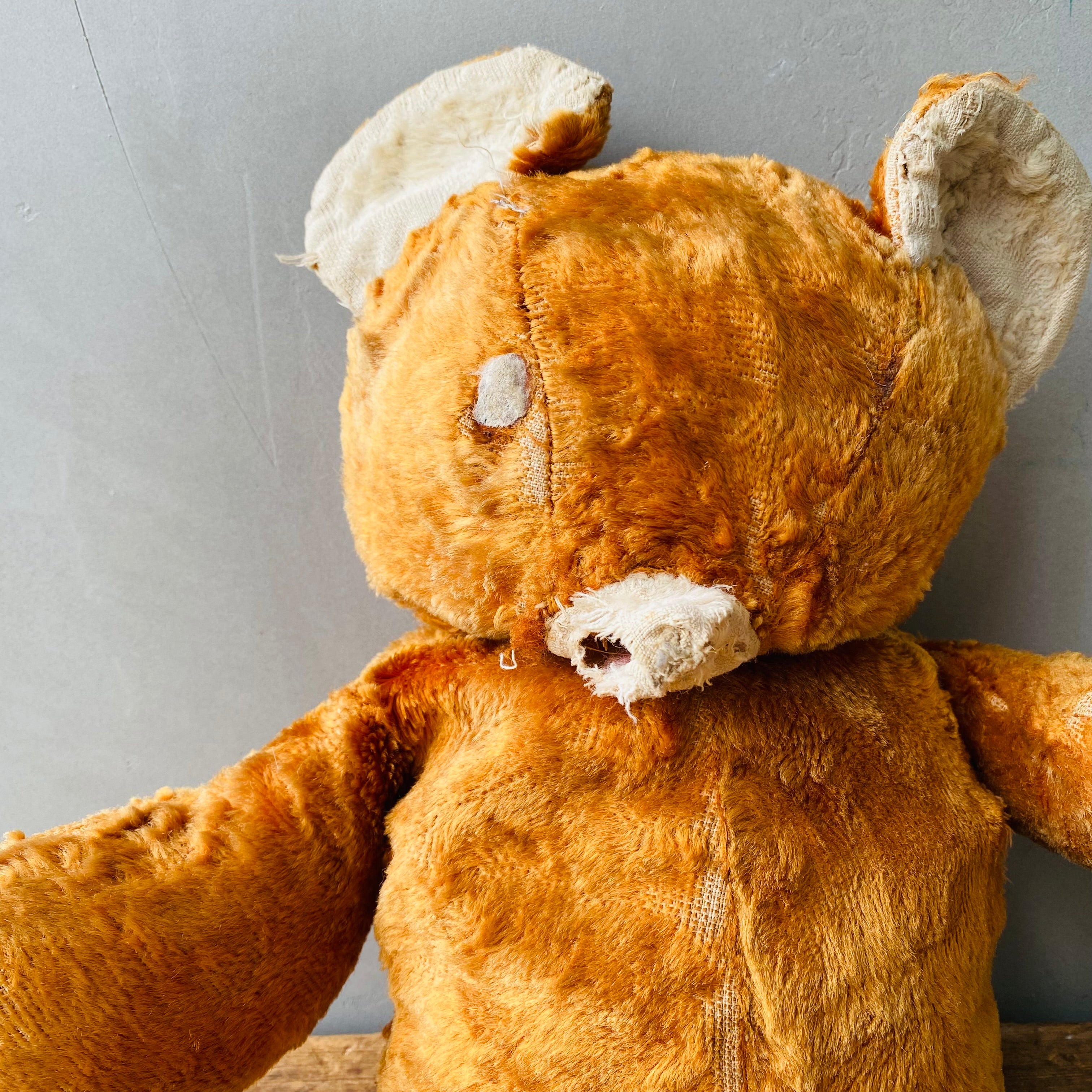 USA vintage】teddy bear – 雑貨屋ポッポ