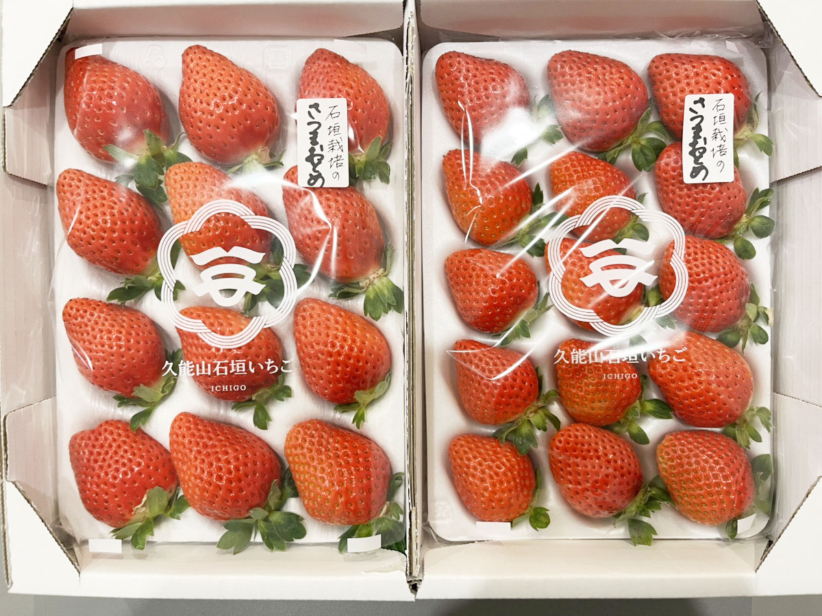 久能山石垣いちごデラックス（みくのか・さつまおとめ）【3箱セット
