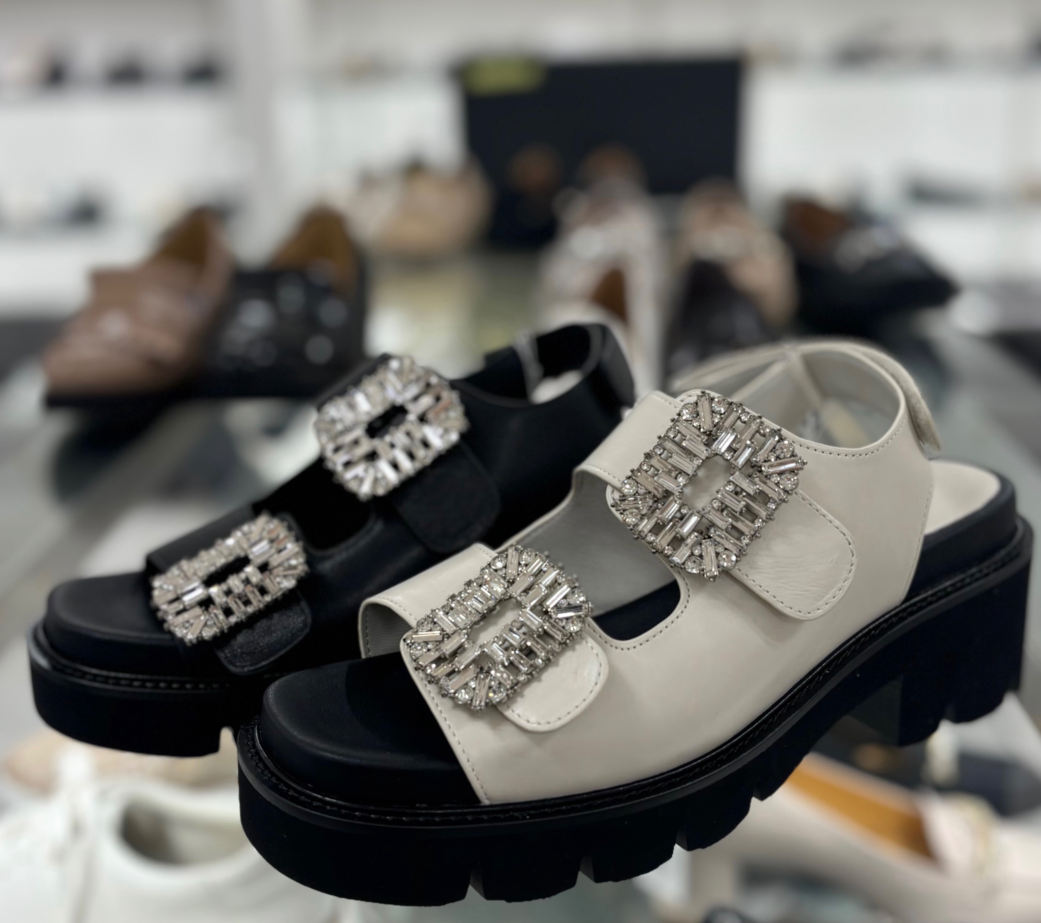 モーダクレア〉マッキントッシュ フィロソフィー MACKINTOSH