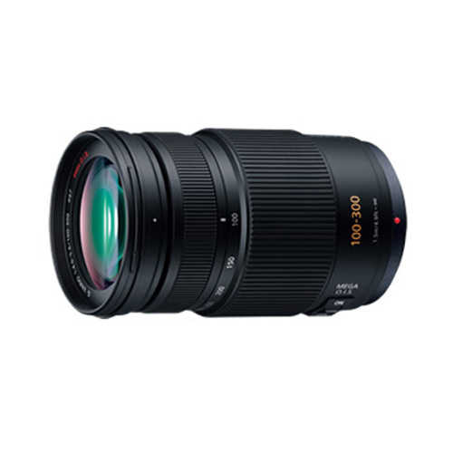 パナソニック LUMIX G VARIO 100-300mm/F4.0-5.6/MEGA O.I.S. [H