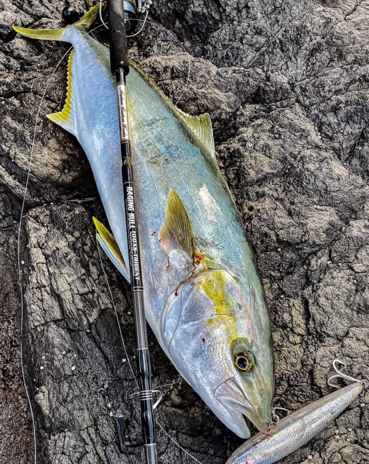 MC WORKS' Raging Bull RB100XS-Trident Shore Casting Rod